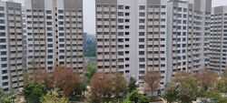 Blk 363B Sun Natura (Sembawang), HDB 2 Rooms #613329561